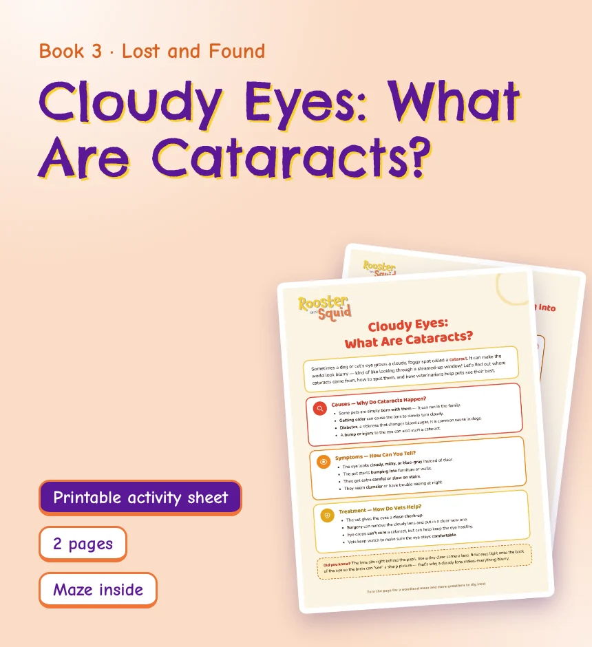 Cloudy Eyes: What Are Cataracts?