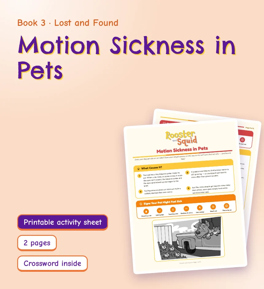 Motion Sickness in Pets