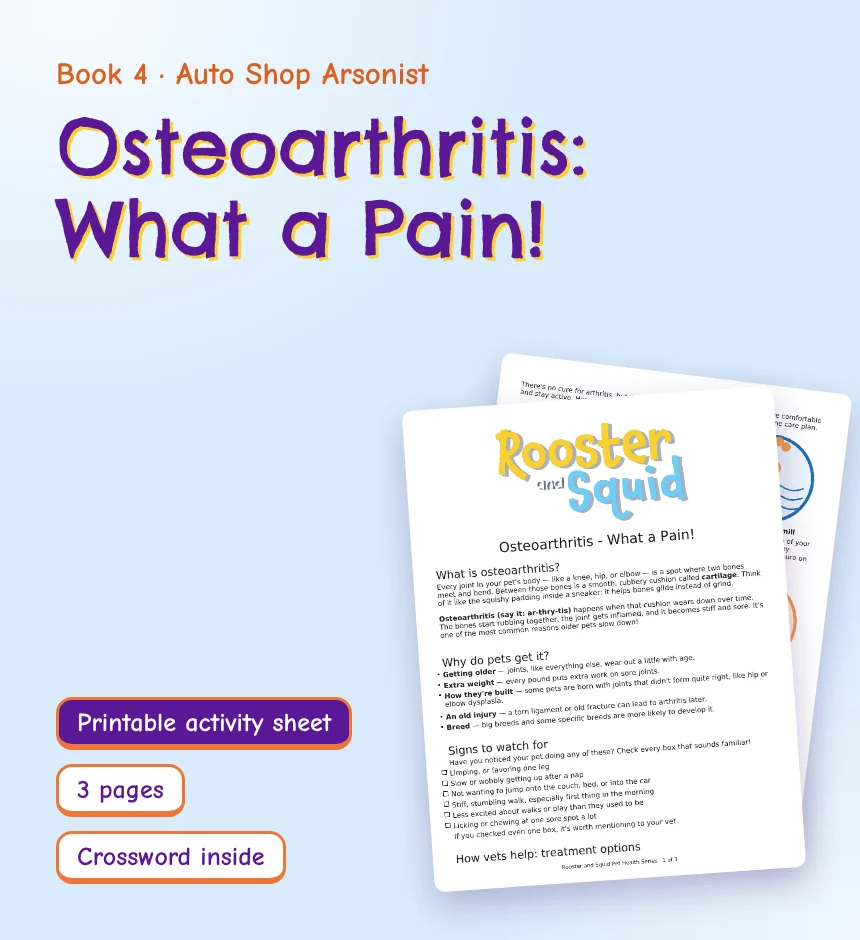 Osteoarthritis: What a Pain!