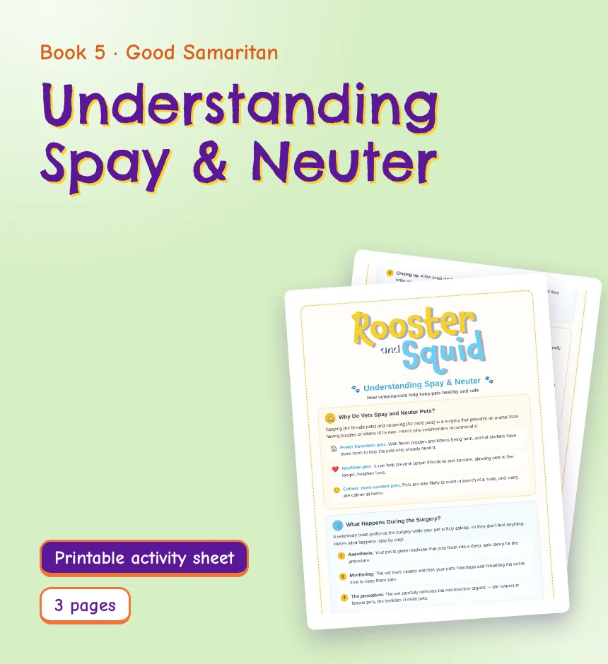 Understanding Spay & Neuter