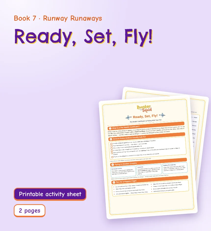 Ready, Set, Fly!