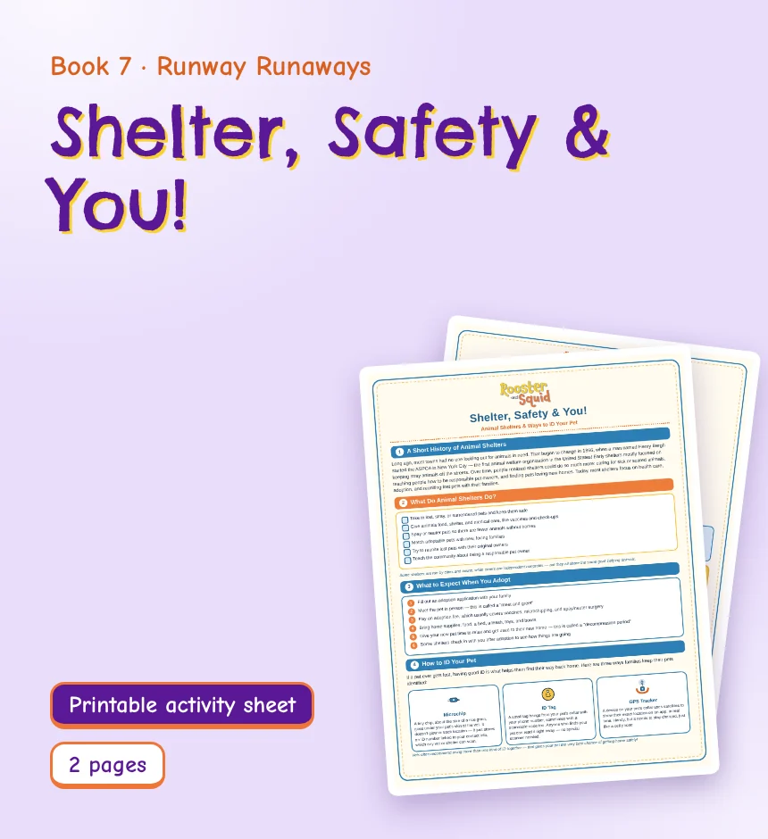 Shelter, Safety & You!