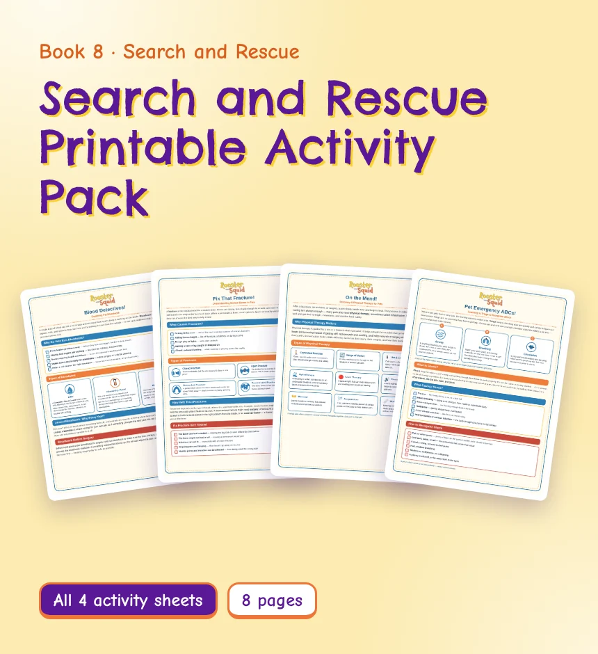 Search and Rescue Printable Activity Pack