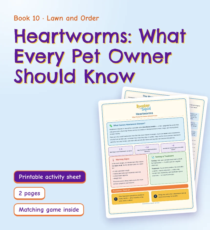 Heartworms: What Every Pet Owner Should Know