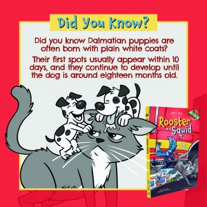 600274952-cole-qc2-4-copy