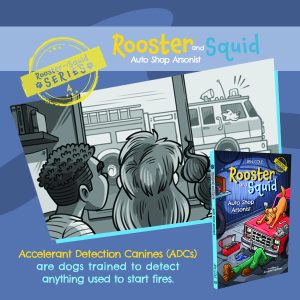 664523994-cole-qc4-2-copy