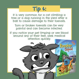 725496427-cole-qc5-3a-copy