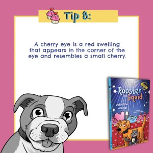 725498310-cole-qc6-4-tip-8-cherry